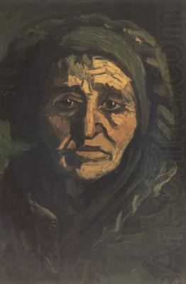 Vincent Van Gogh Head of a Peasant Woman with Dard Cap (nn014) china oil painting image